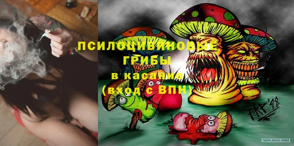 spice Алзамай