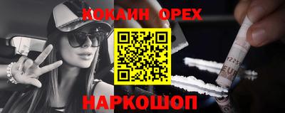 крисы Шебекино