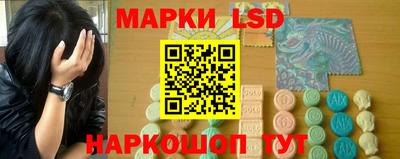 крисы Шебекино