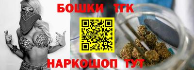 крисы Шебекино