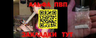 крисы Шебекино