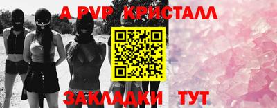 крисы Шебекино