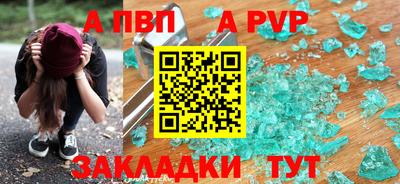 крисы Шебекино