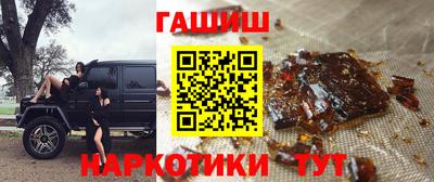 крисы Шебекино