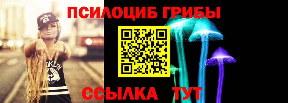 где можно купить наркотик  Вход с VPN  Бахчисарай  Псилоцибиновые грибы Magic Shrooms 